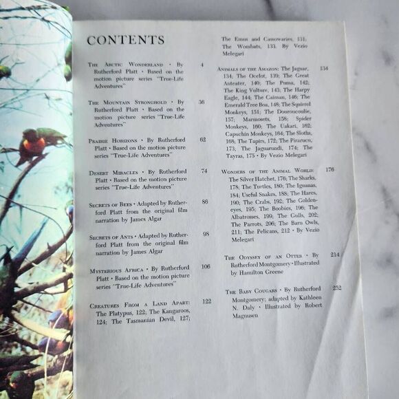 Walt Disney the wonderful worlds of nature pine Green Snow White hardback vintag - Picture 3 of 6